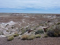 Blue mesa FP (6).JPG